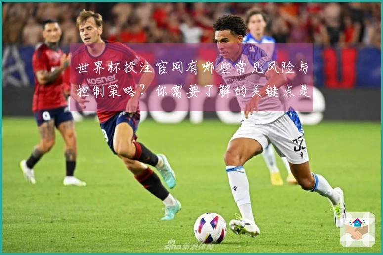 世界杯投注官网有哪些常见风险与控制策略？你需要了解的关键点是什么