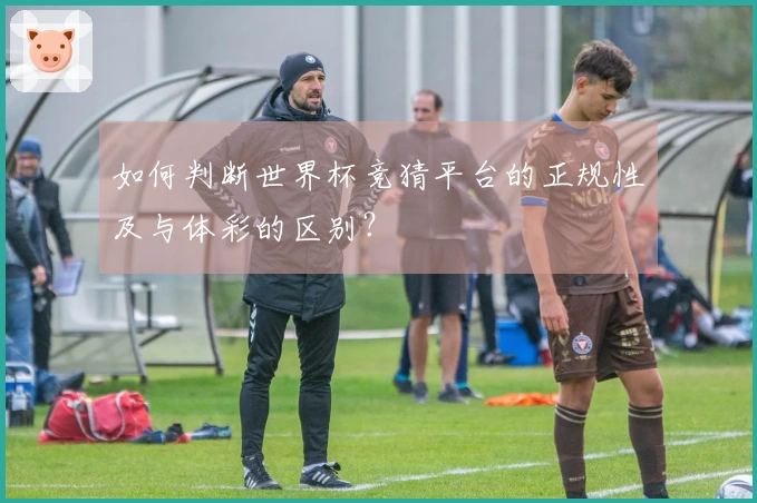 如何判断世界杯竞猜平台的正规性及与体彩的区别？