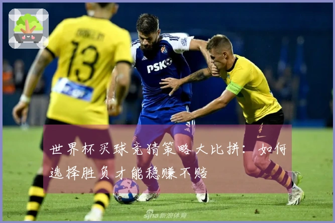 世界杯买球竞猜策略大比拼:如何选择胜负才能稳赚不赔