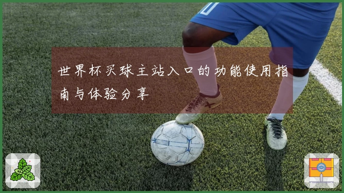 世界杯买球主站入口的功能使用指南与体验分享