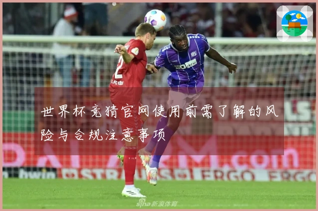 世界杯竞猜官网使用前需了解的风险与合规注意事项