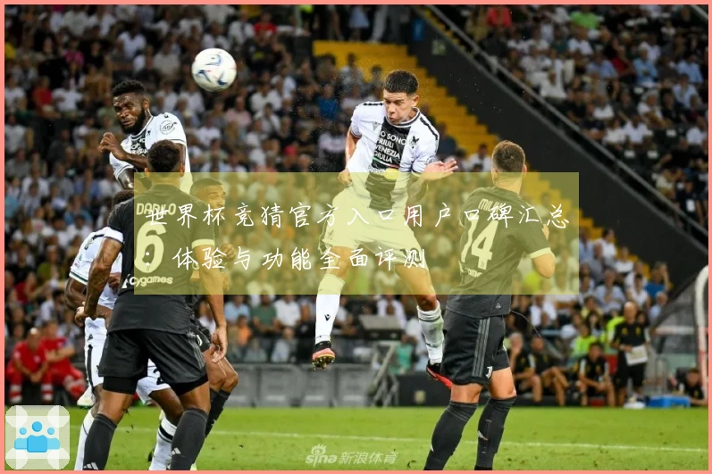 世界杯竞猜官方入口用户口碑汇总：体验与功能全面评测