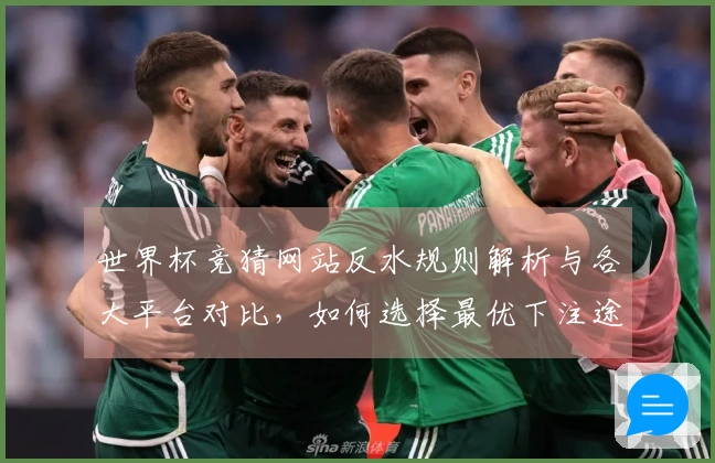 世界杯竞猜网站反水规则解析与各大平台对比，如何选择最优下注途径