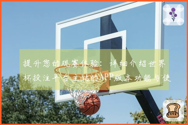 提升您的观赛体验:详细介绍世界杯投注平台主站的APP版本功能与使用指南