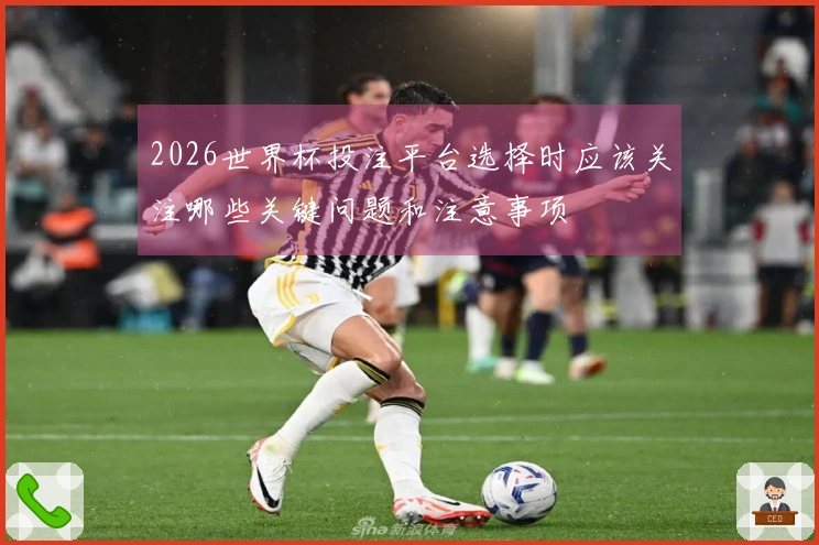 2026世界杯投注平台选择时应该关注哪些关键问题和注意事项
