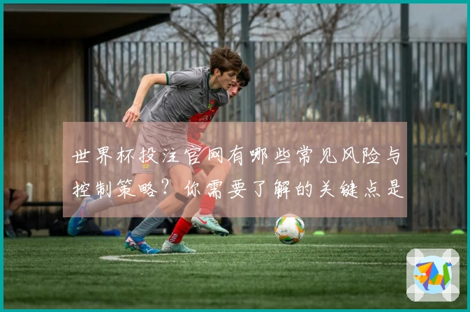 世界杯投注官网有哪些常见风险与控制策略？你需要了解的关键点是什么