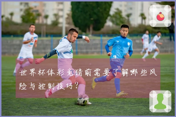 世界杯体彩竞猜前需要了解哪些风险与控制技巧？