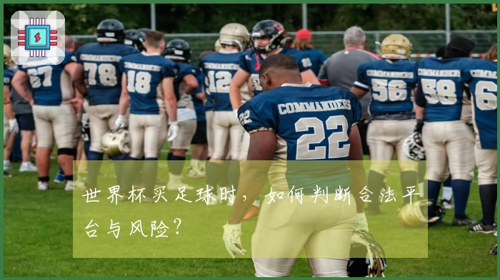 世界杯买足球时，如何判断合法平台与风险？