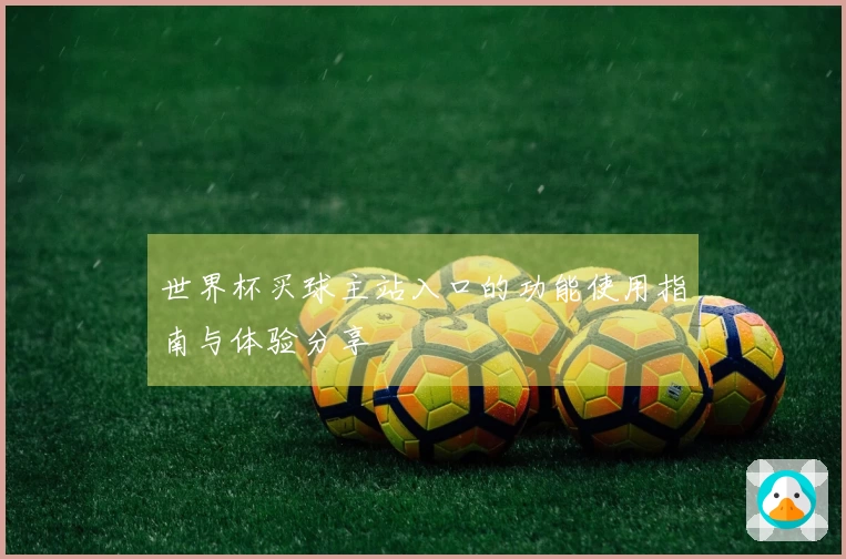 世界杯买球主站入口的功能使用指南与体验分享