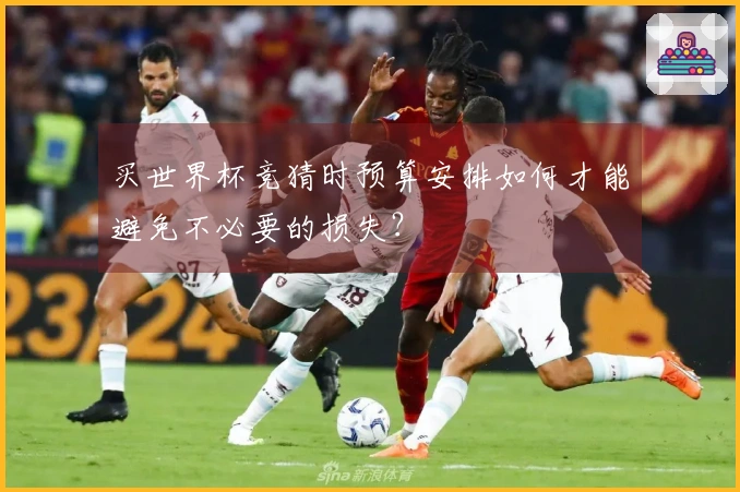 买世界杯竞猜时预算安排如何才能避免不必要的损失？