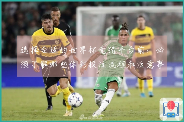选择合适的世界杯竞猜平台前，必须了解哪些体彩投注流程和注意事项