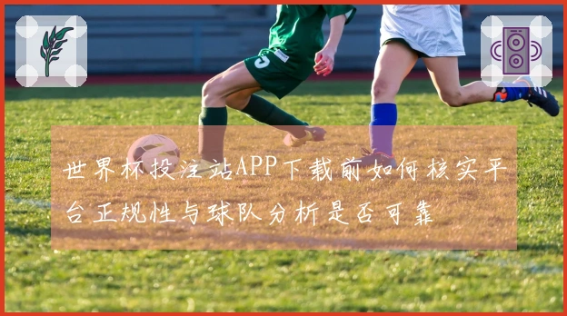 世界杯投注站APP下载前如何核实平台正规性与球队分析是否可靠