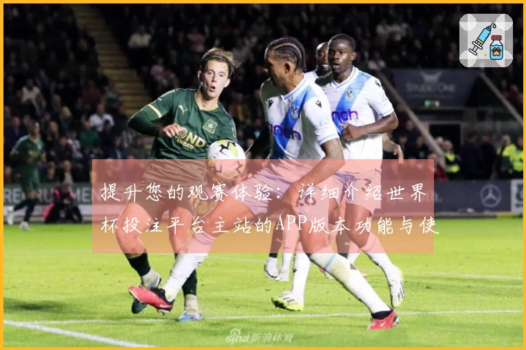 提升您的观赛体验：详细介绍世界杯投注平台主站的APP版本功能与使用指南