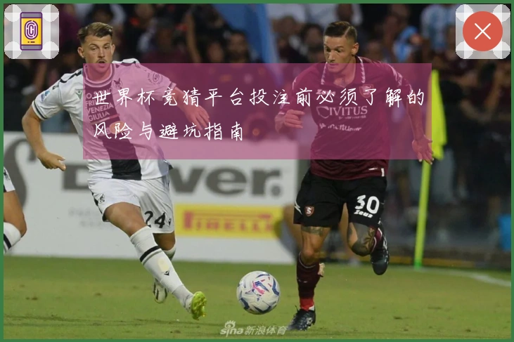 世界杯竞猜平台投注前必须了解的风险与避坑指南