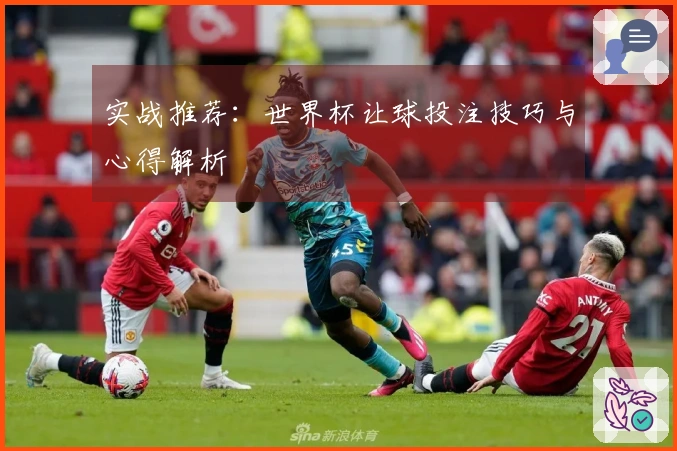 实战推荐:世界杯让球投注技巧与心得解析