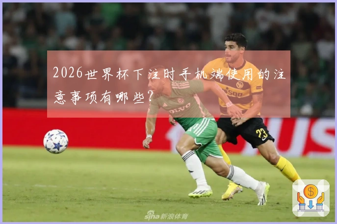 2026世界杯下注时手机端使用的注意事项有哪些？